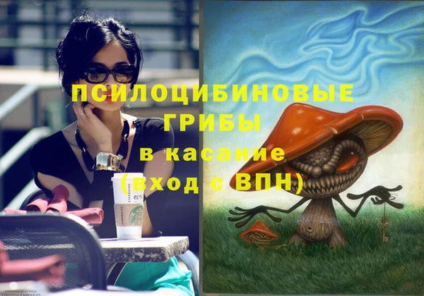 твердый Абинск