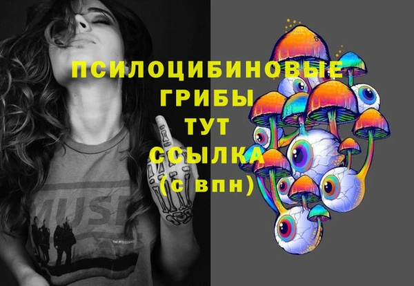 твердый Абинск