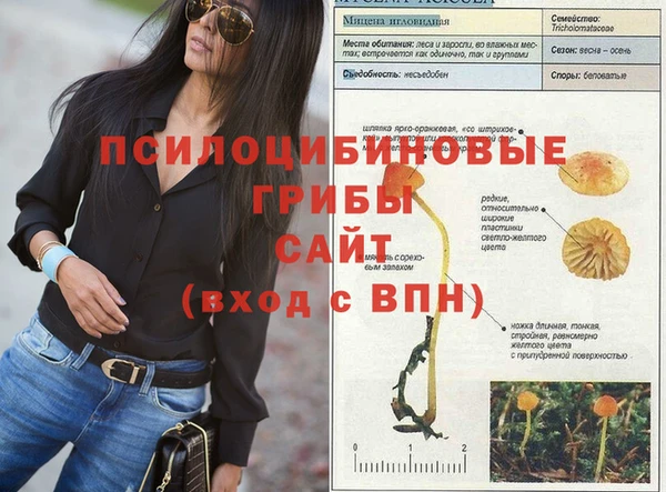 твердый Абинск