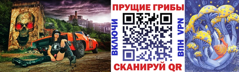 где найти Усолье-Сибирское Псилоцибиновые грибы Psilocybe